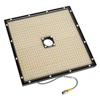OL1212 12” X 12” Oxy Ring Light LEDs