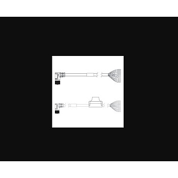 Omron V430-W8LU-3M Cable – 3m M12 12-Pin Female Right-Angle Up to Flying Leads for MicroHAWK V430-F