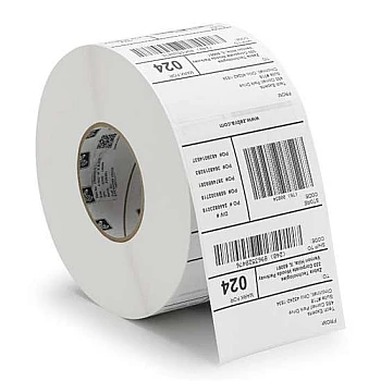 10010035-1 Label, Paper, 4x6in (101.6x152.4mm)