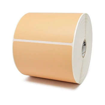 10010035-2 Label, Paper, 4x6in (101.6x152.4mm)