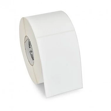 10010055 Tag, Paper, 3.25x1.875in (82.6x47.6mm)